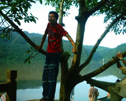 2006  (21)